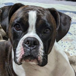 Meet your Posher, Ertert